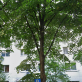 Pantelimon x Costin Georgian - 12 min Metroul Costin Georgian